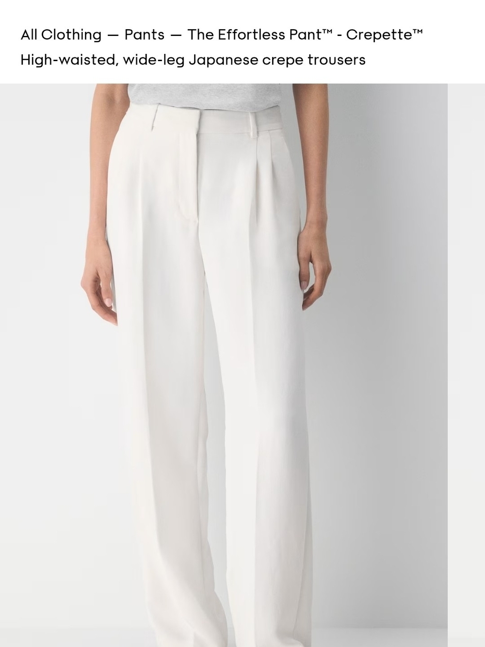 Aritzia White High-Waisted Wide-Leg Trousers